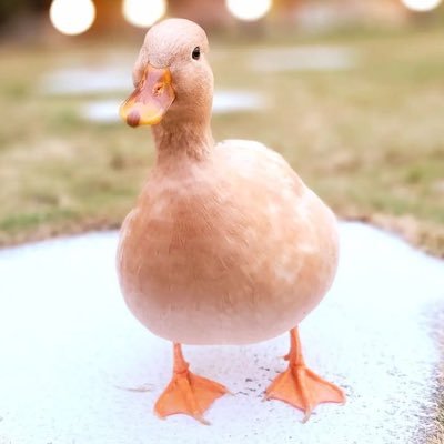 AntonioNCNP's profile picture. SNEAKERHEAD🇮🇹🍕| US 11~EU 45 | @checkouters academy 💚 | Discord ID: antoniogb#6414 | {No Cop-No Party}🌵| 🤌🏻