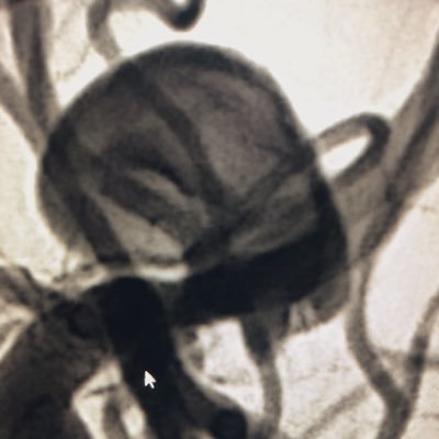 mbou005's profile picture. 