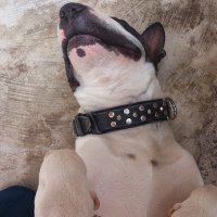 Demetrius 40k (@davidca55243210) 's Twitter Profile