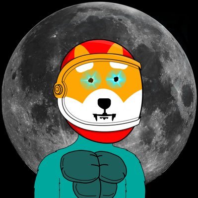 2 time crypto winter survivor. Proud $Shiba & #SafeMoon investor. I’m an idiot so NOT investment advice. HODL till I go on a bro trip w/ Elon to the moon.🚀🌕🔜