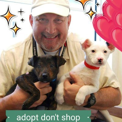 Adult's have one job-Protect the Kids.
Country Radio Hall of Fame-Nashville via Dallas, Philly & Flushing. 
Texas Radio Hall of Fame     #adoptdontshop