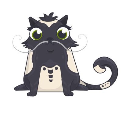 QNT_CAT Profile Picture