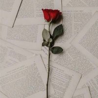 هياء . (@qwp10141) 's Twitter Profile