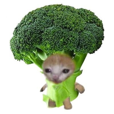 tengo un perro