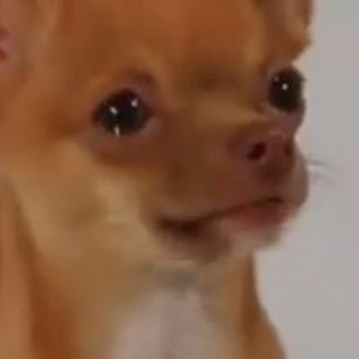 g72472051's profile picture. 인생은