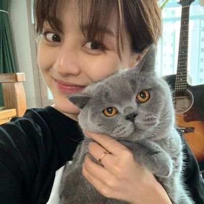 Jihyo Best Girl 💛 on Twitter: "Bbuyo's IG is more alive than Hyostagtram  😆 Cutie cat 💛 so fluffy 😍 #Bbuyo #Jihyo #Twice @JYPETWICE  https://t.co/efGWA2FTww" / Twitter