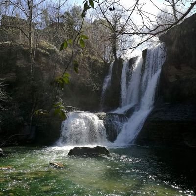 canarii1's profile picture. Feminista, antifascista.