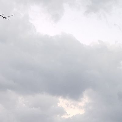 allansaleal's profile picture. 