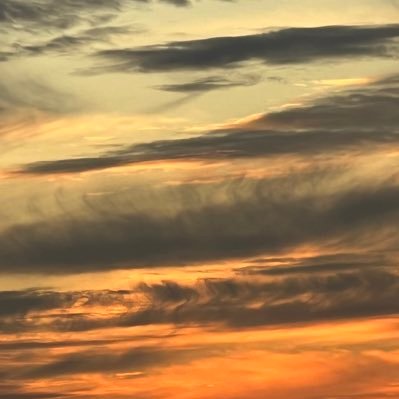 ariesb4byyy's profile picture. 