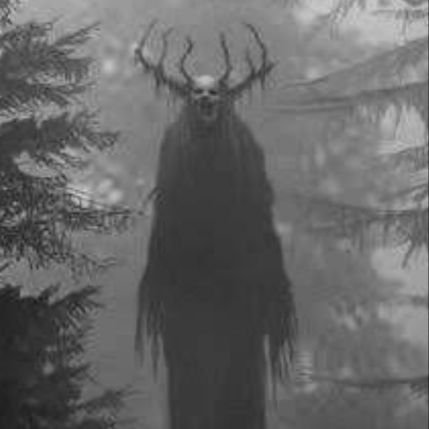 Sarcofago_inri's profile picture. from the dark side.