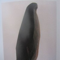 鷹彦 (@takahiko05) 's Twitter Profile Photo