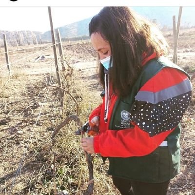 Eterna estudiante.
Técnico Agrícola.
🌿🌱🌾