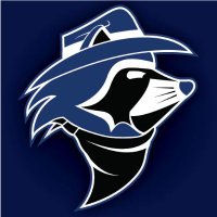 Blue Raccoon Designs(@BRaccoonDesigns) 's Twitter Profile Photo