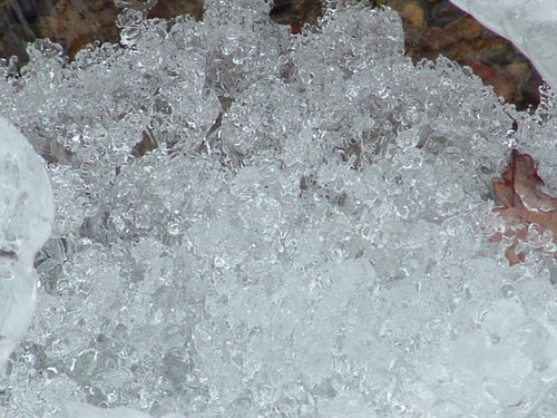 mcmmoz's profile picture. yes folks its hide and seek the new game on earth who are we realy destroying earth what for paper money it all will turn to worthless paper .
GOLD IS KING .