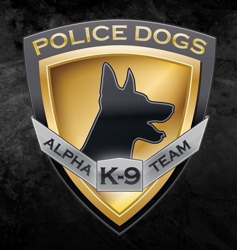 MalinoisDogs's profile picture. We train dogs for different tasks, such as: protection of objects and personal protection, police patrol activities, narcotics and explosives detection.