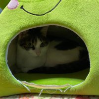 たくや (@takuyaaaa1012) 's Twitter Profile