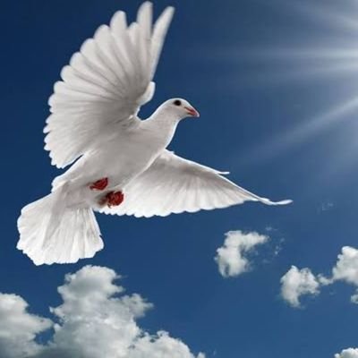 ADITYAT90084003's profile picture. 