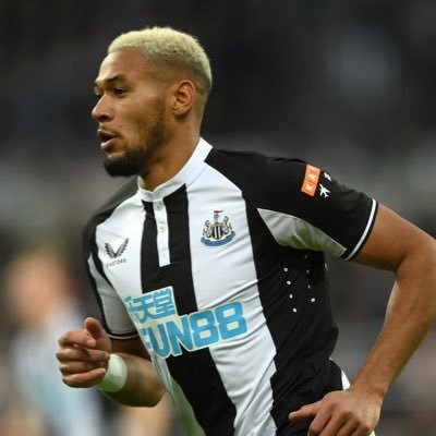 georgegiles1's profile picture. 