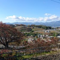G_シニア (@g_senior2022) 's Twitter Profile