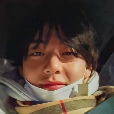 a casual kpop fan | main stans are BTS and ENHYPEN