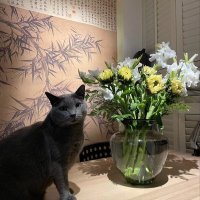 Siri in Beijing (@nandhisiri) 's Twitter Profile