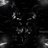 smokingfoxprod's profile image