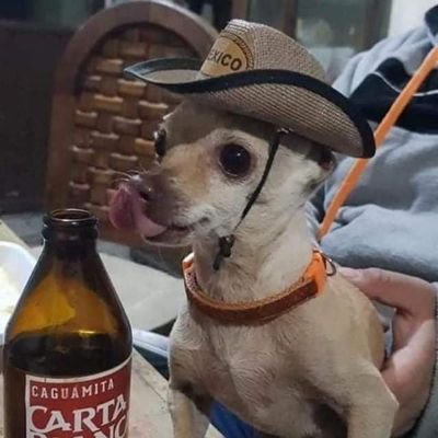 ZEUSKRIPTON's profile picture. 