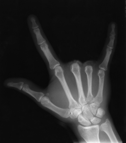 yelizuludag's profile picture. Close my heart, hold on to evil 