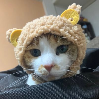tama