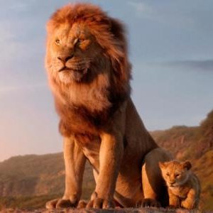 dg_sirius's profile picture. Interchangeable