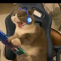 Di3H4rd (@di3h4rd3) 's Twitter Profile