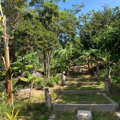 LIsULrbI4lm8hwd's profile picture. Divorced families don't pursue much now, and only need someone who understands me to spend the rest of my life.