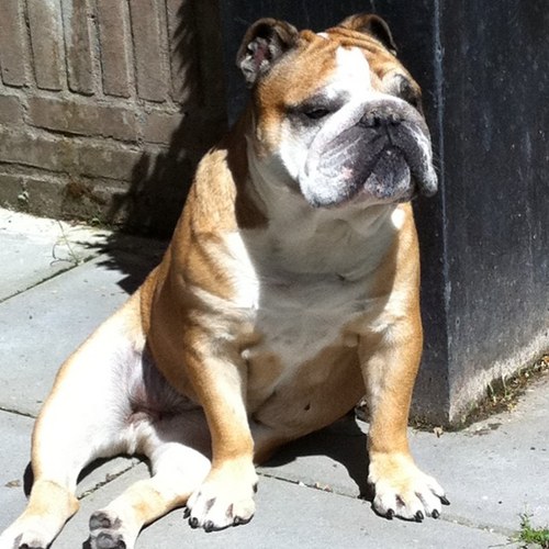 ThfJorna's profile picture. 