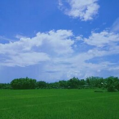 wisdomsla's profile picture. sudah berbenah