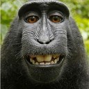 Chris Camps - @Geordiechris768 - Twitter