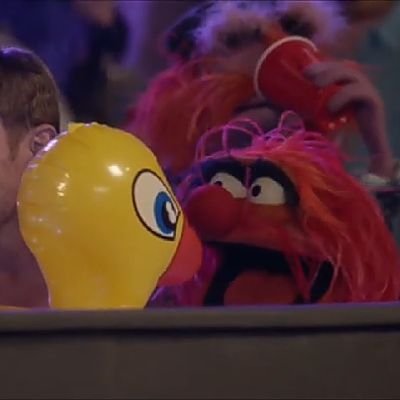 KyraO16's profile picture. Muppets