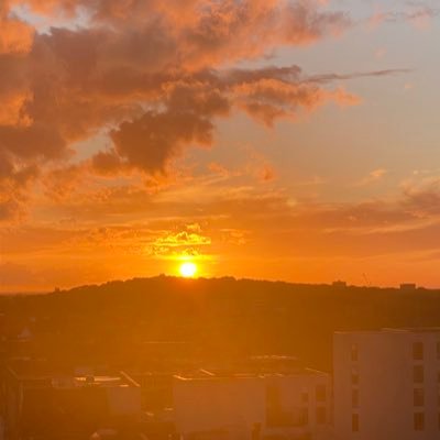 syncroxN's profile picture. 333