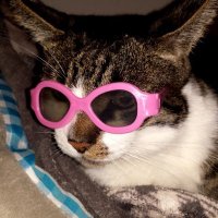Rock & Tattoo Lady...🎸🎶 (@peneloperuzy) 's Twitter Profile Photo Rock & Tattoo Lady...🎸🎶 (@peneloperuzy) 's Twitter Profile Photo