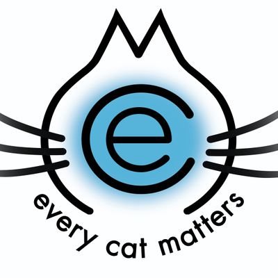 ECM is a cat rescue and rehoming charitable organisation, working internationally to help cats most in need.