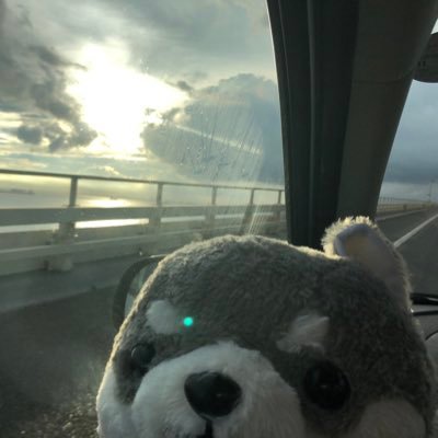 71NL7AgrQ1TpPfC's profile picture. 2022年から🇺🇸。🤡無言フォロー失礼します🙇‍♀️