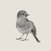 æ° (@tmt0d) Twitter profile photo æ° (@tmt0d) Twitter profile photo