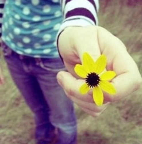 treeart7's profile picture. 