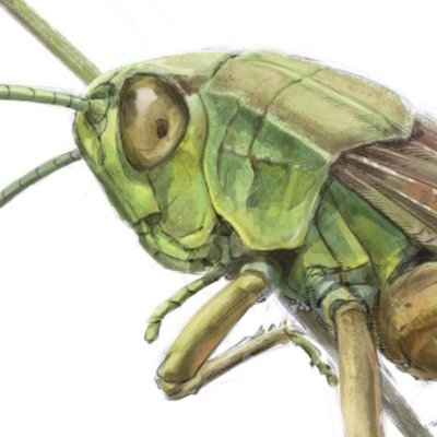 Version 2 of the Grasshopper Algorithmic Modelling plugin for Rhinoceros 3D.