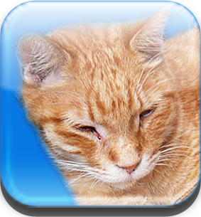 Planar35's profile picture. #サクっと利確  #ロスカットしたら負け #FX初心者 #ドル円 #手動売買 #投資は自己責任で #バカと貧乏人は投資しちゃダメ