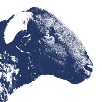 animal sujet/buteo Ⓥ ⚢ (@animalsujet) 's Twitter Profile