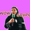 TheGrapeTrader's profile picture. ASX swing trader working on my 10000 hours.