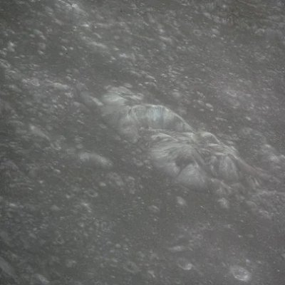 Tree___Hard's profile picture. Hmm