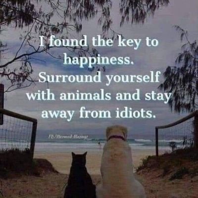 Life is a one-time offer. Used it well until 🦃 voted to steal my 'FOM'. Will never unite behind fascists/racists of little England. Gone North of the Wall.