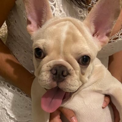 Leonard97684765's profile picture. 🤙🏻