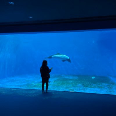 Hky55415075H's profile picture. アカウント